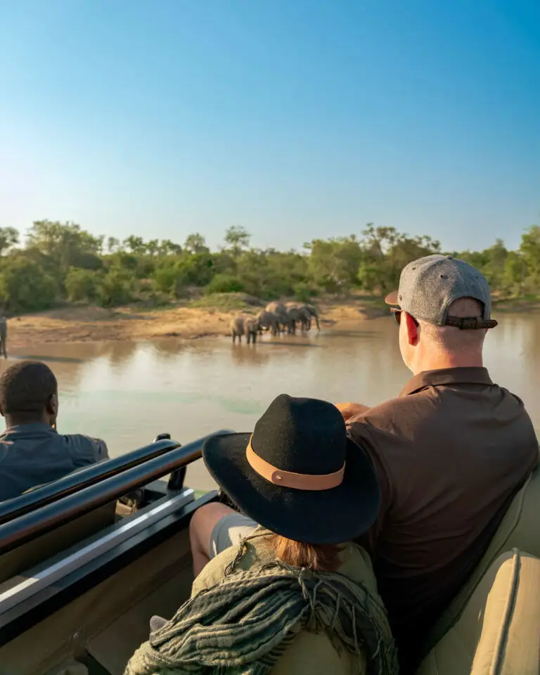 Family_WorldStompersatThornybush-63