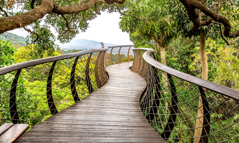 Boomslang1