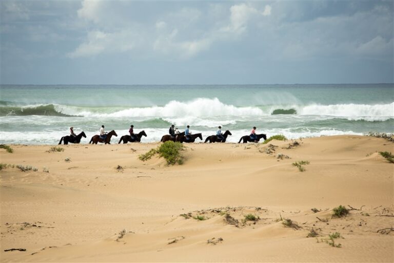 Horseback_Beach
